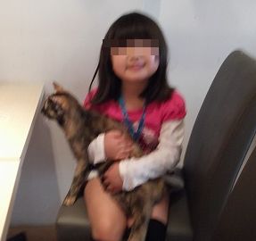 pohe_13011511