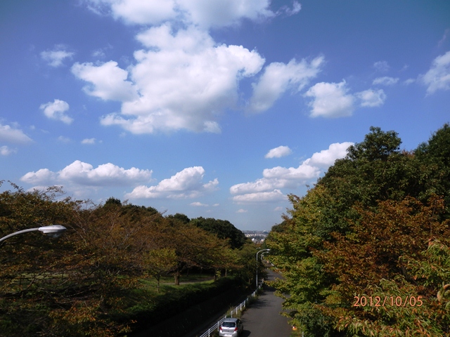 散歩道　PA050132.jpg