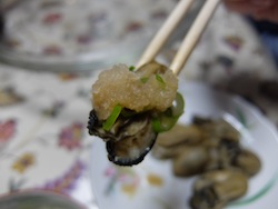 DSCF0291.JPG
