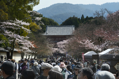 醍醐寺2