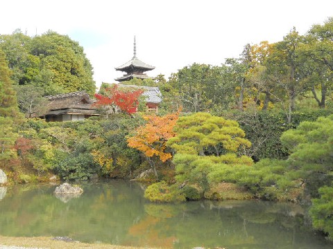 2012-11 仁和寺北庭と五重塔.jpg