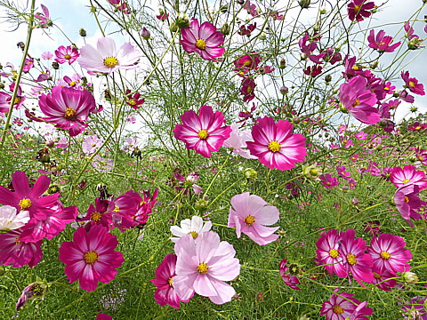 P1250107.jpg