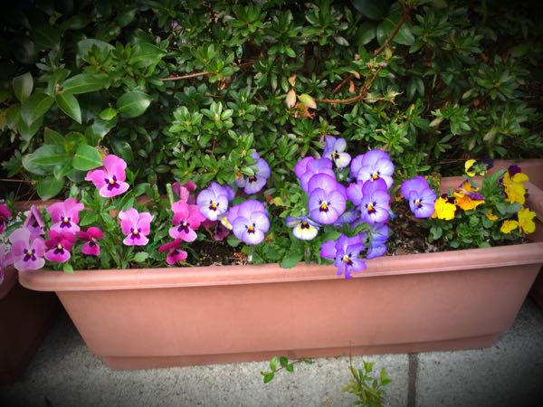 rblog-20160330184054-05.jpg