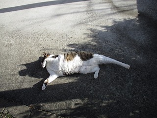 IMG_4725ss.jpg