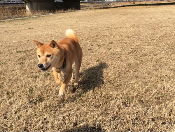 rblog-20160221153207-03.jpg
