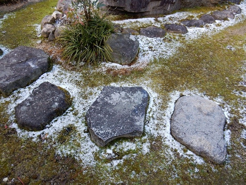 庭の雪1.JPG