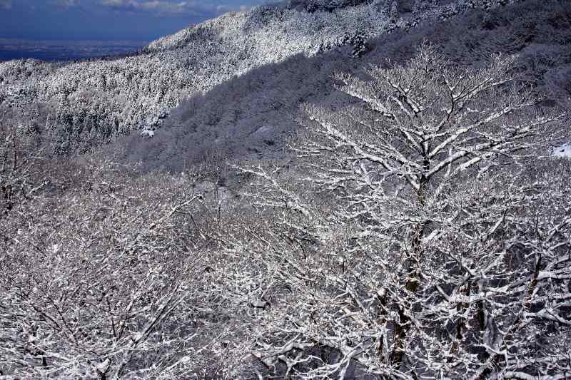金剛山_8-4.jpg