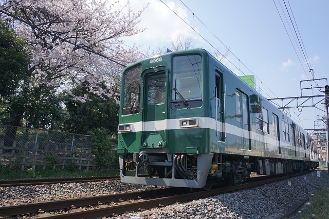 東武亀戸線 桜咲く リバイバルカラ－同士の 並び5