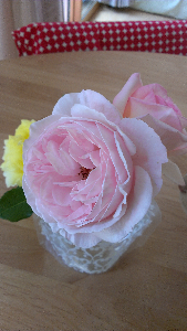 rblog-20130604123937-02.png
