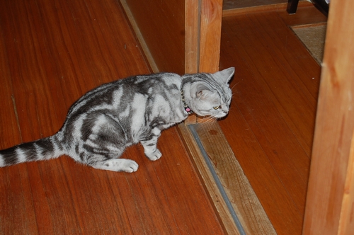 DSC_0034.JPG