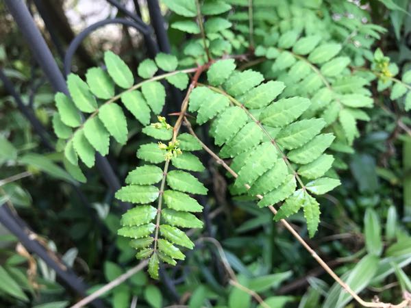 rblog-20180408160645-08.jpg