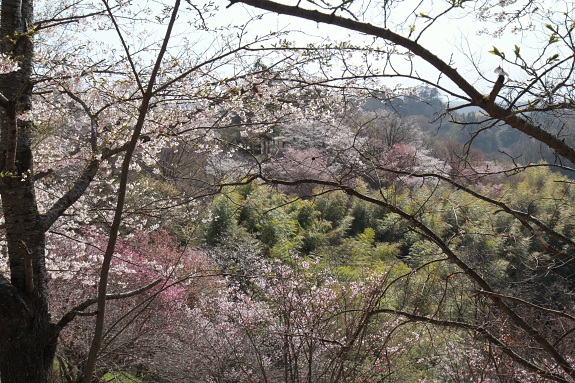 150419_24.jpg