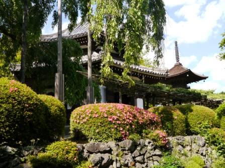 P1050714（経堂と多宝塔）.jpg