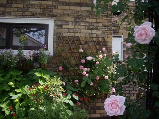IMGP4441.jpg