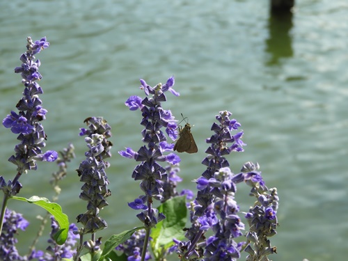 小池公園にて