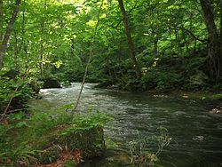 250px-Oirase_stream.jpg