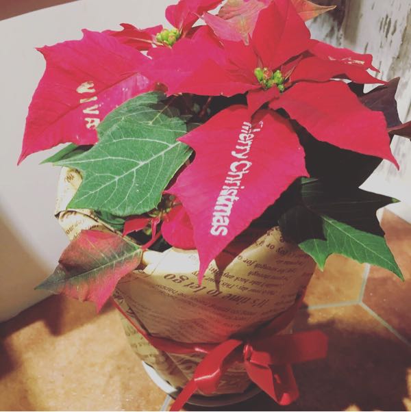 rblog-20171116171518-02.jpg