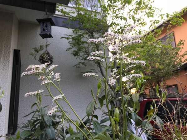 rblog-20180408181817-01.jpg