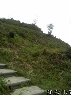 本丸の山