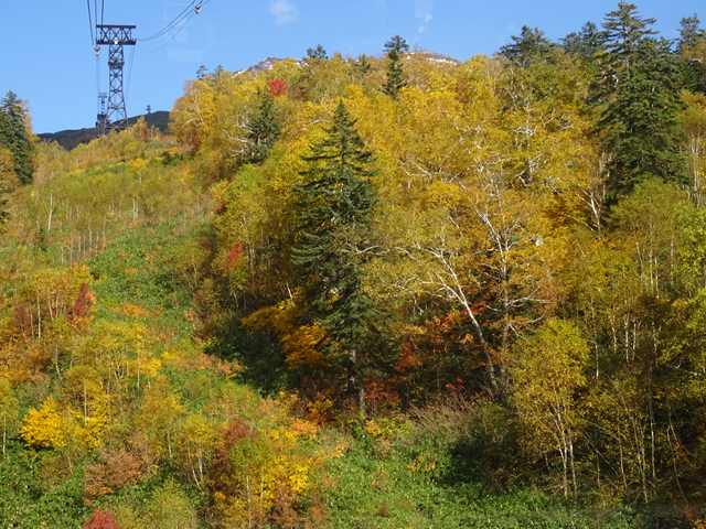 DSC05037_R.JPG