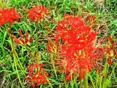 IMG_0223.JPG