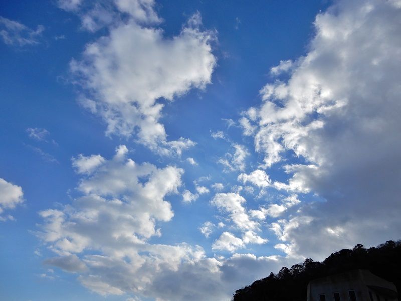 空5