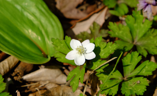 2016 03 31_2236.jpg