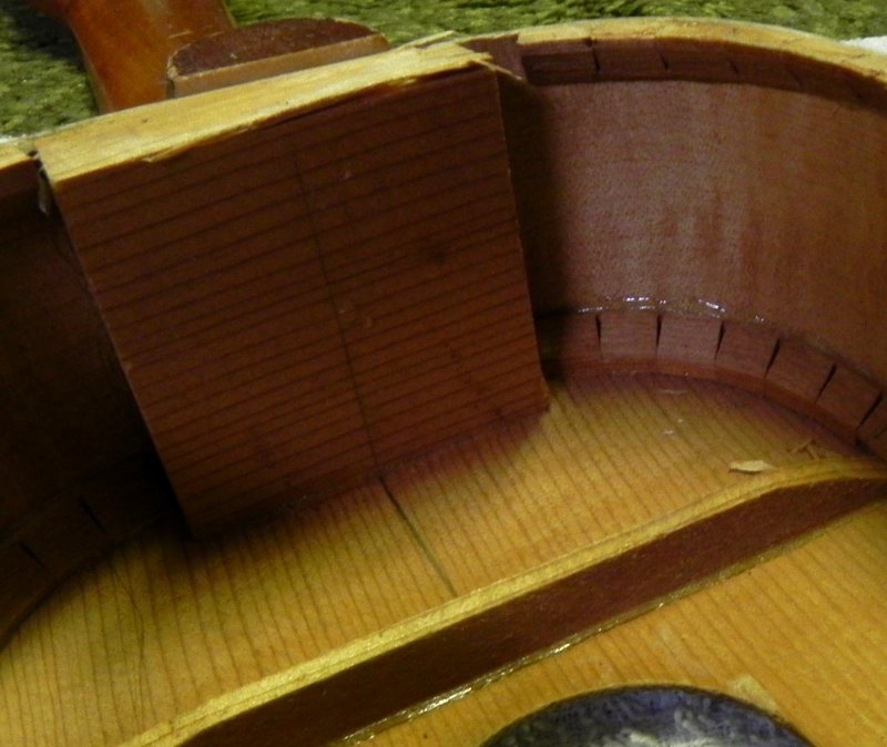 DSCN2503.JPG