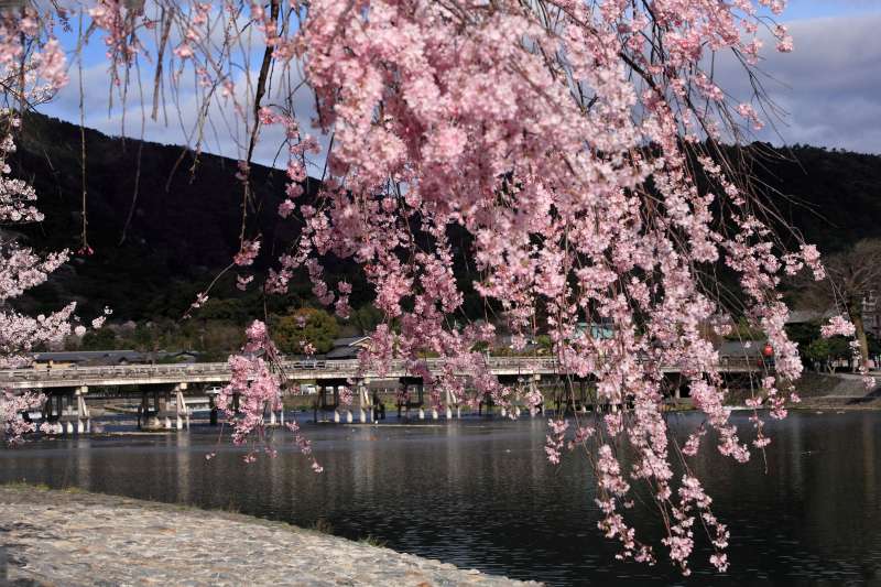 渡月橋_002.jpg