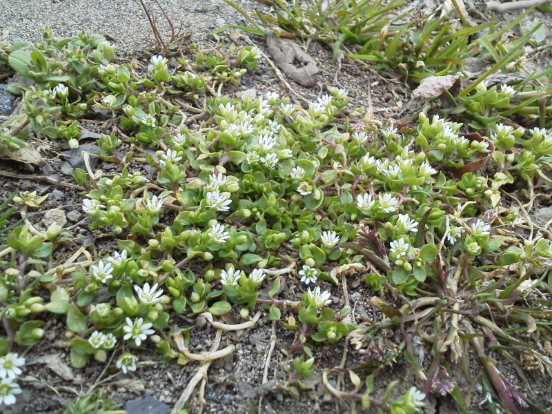 s_2015041414180001.jpg