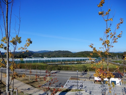 15城山台団地の公園 (1).JPG