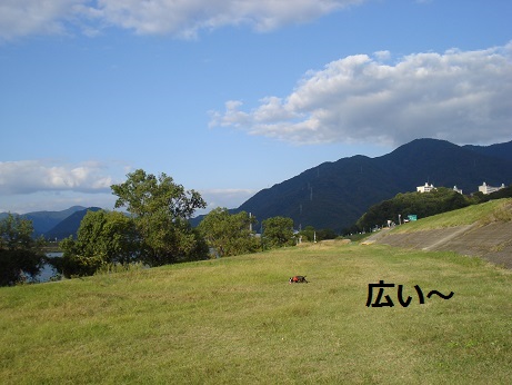 DSC05136.jpg