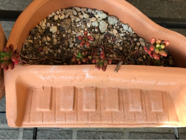 rblog-20180324203515-09.jpg