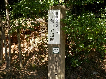 P7290037001.jpg