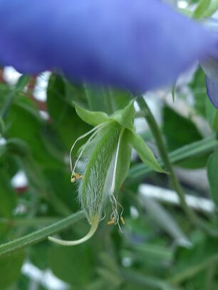 rblog-20140515143628-01.jpg