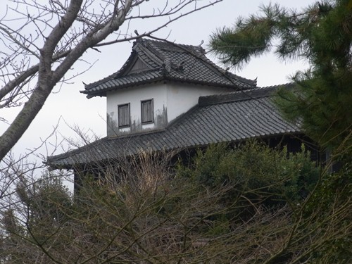 R0022973_R.JPG
