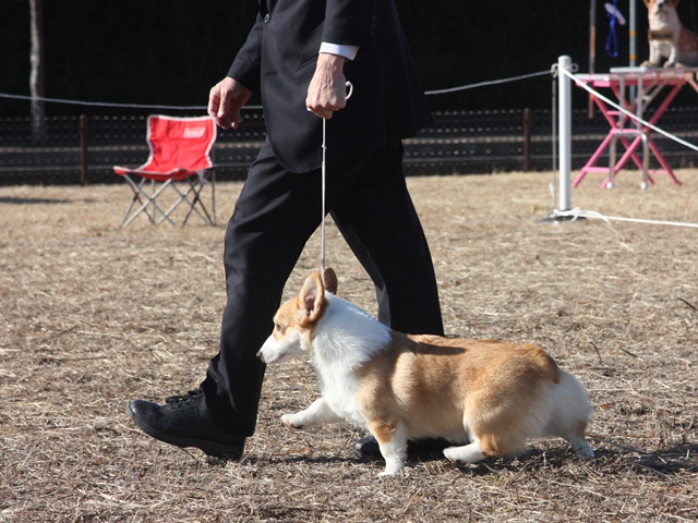 IMG_0436 - コピー.JPG