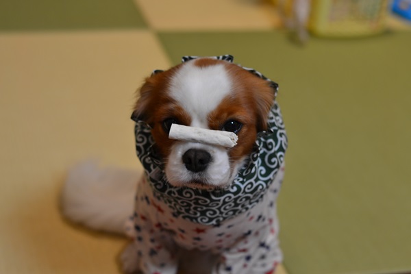 DSC_3973.jpg