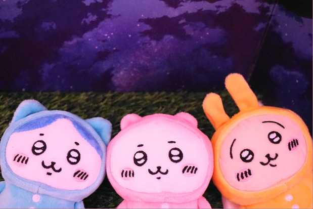 ハチワレ 星の瞬き おもちゃでチャチャチャ 楽天ブログ