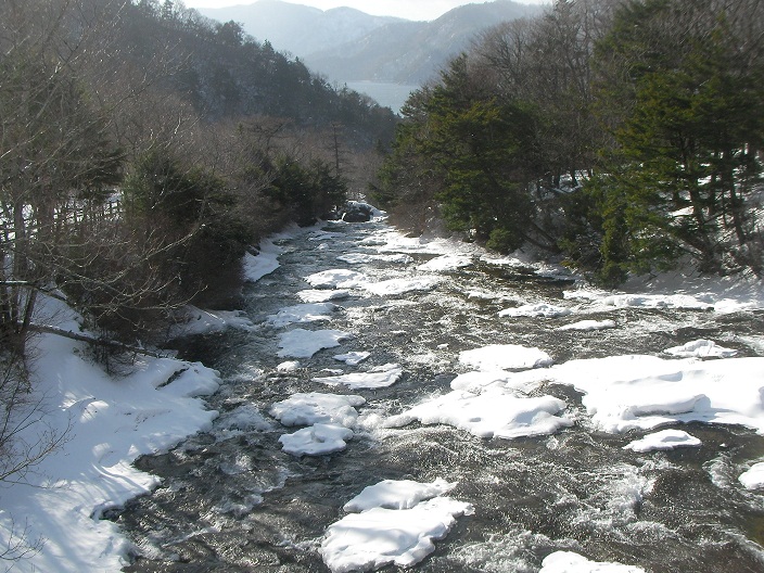 2013-02-23 20130223 007b.jpg