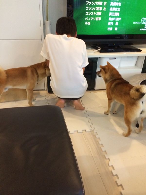 rblog-20150717210311-02.jpg