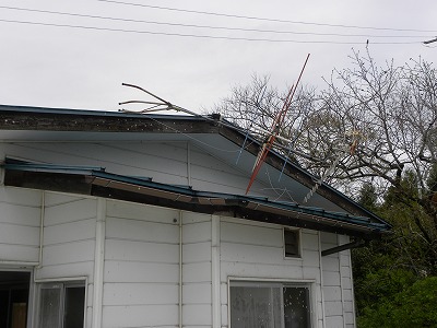 DSCN8521.jpg
