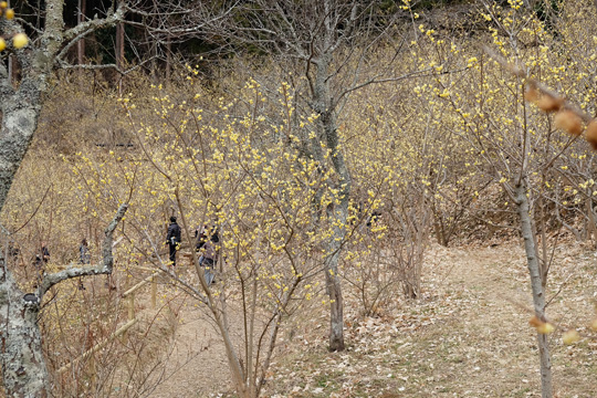 DSCF1720.jpg