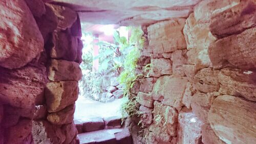 rblog-20180601214436-03.jpg