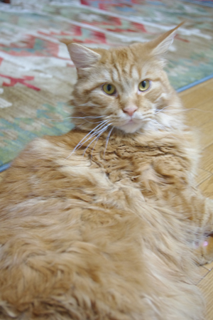 IMGP1230.JPG