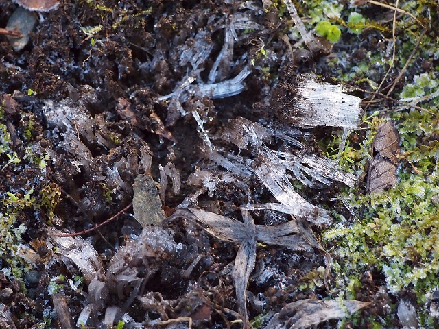 s-p2857.jpg