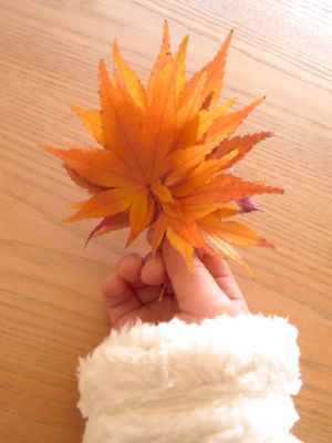 紅葉2.jpg