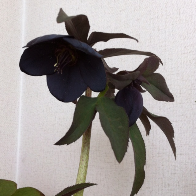 rblog-20130305182958-02.jpg