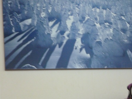2014020902.jpg
