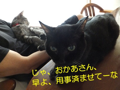 20120920_4.jpg